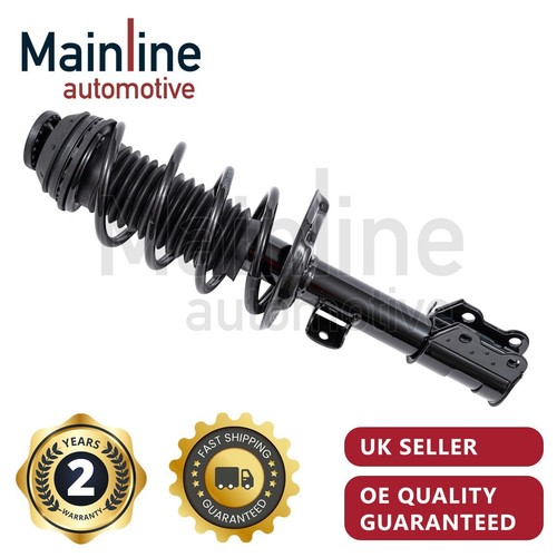Shock absorber strut - strut, coil