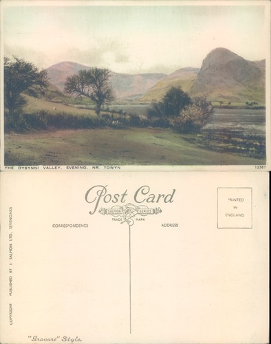 Dysynni valley towyn salmon - valley,