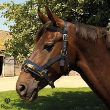 Nylon Lunge Cavesson by