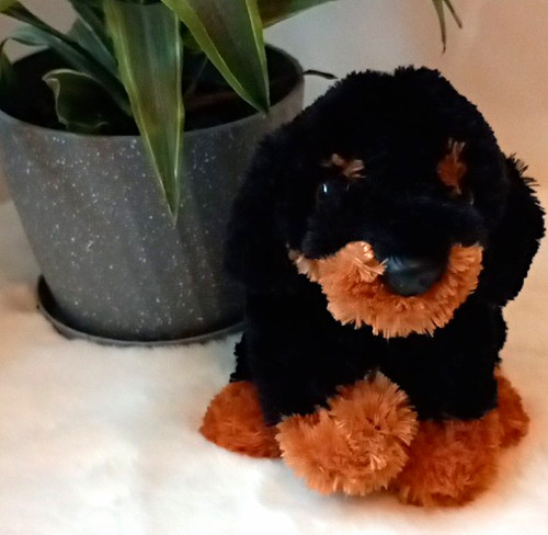 Lil connection black - lil, black/brown