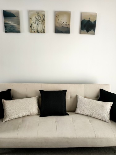 Decorative pillows cushions - pillows,