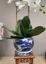 Blue and White Chinese Landscape Ceramic Planter Bowl with Stand Orchid bonsai