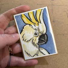 Aceo parrot cockatoo original - aceo,