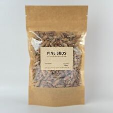 Pine Buds | Pinus sylvestris |