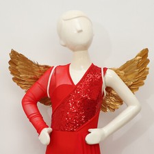 Unisex Angel Feather Wings