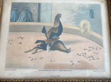 Antique Sporting Prints 1840 Hy Aitkin Cockfighting Set of four 25cm x 19.5cm