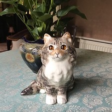  Long Haired Tabby Winstanley