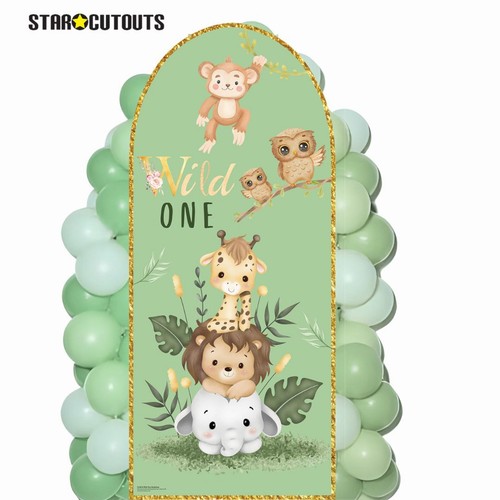 Sc4616 wild one - one, backdrop