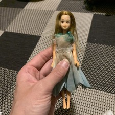 Vintage 1970’s Palitoy Pippa Doll - Tammie Plus Outfit