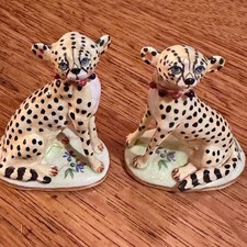 Basil Matthews Cheetah Cub