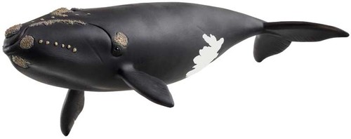 Schleich north atlantic - north, right