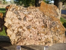 Large Rare Variscite Wardite