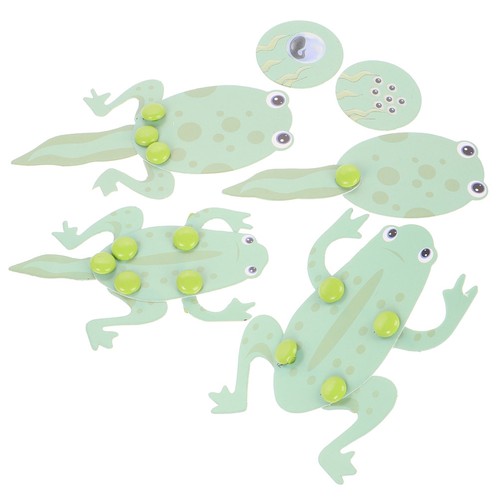 Tadpole life cycle educational - life,