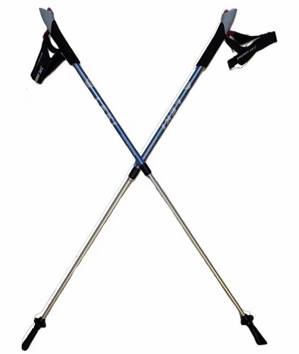 Leki nordic walking - nordic, instructor