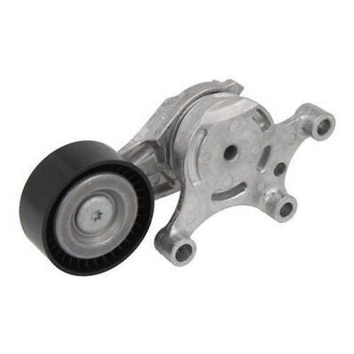 Ina 534 0075 tensioner - ina,