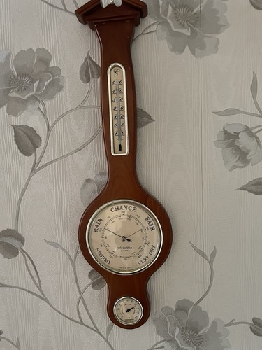 Vintage banjo style weather - banjo,