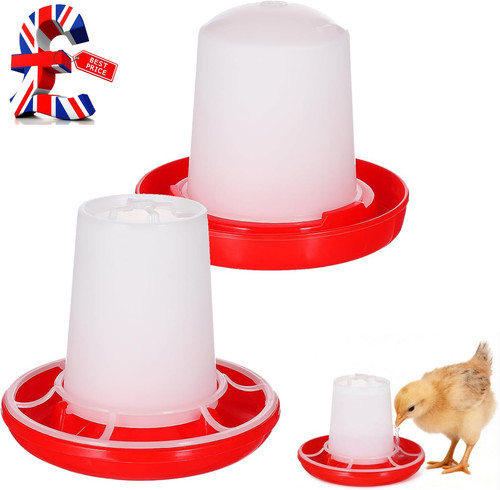 Chick feeder and waterer - chick,