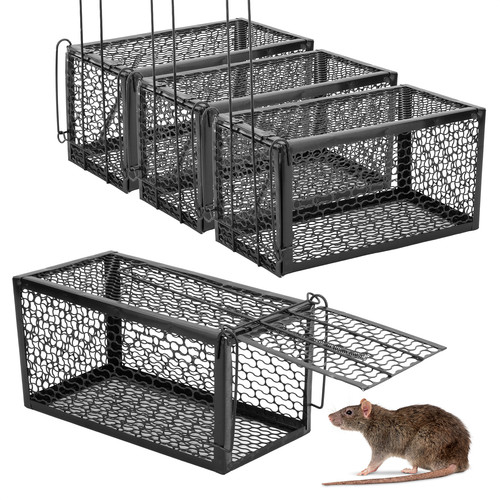 Pack kct humane rat - rat, trap