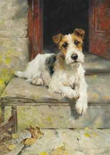Wire fox terrier dog - fox, greeting