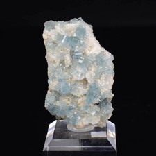 Blue Apatite - Golconda Mine