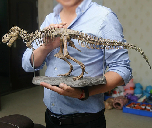 Large diy dinosaur skeleton - dinosaur,