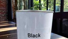 Black trade quality gloss - quality,