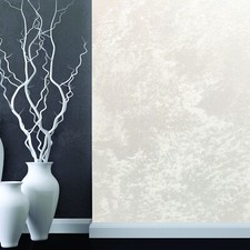 Internal paint FOX DEKORATOR