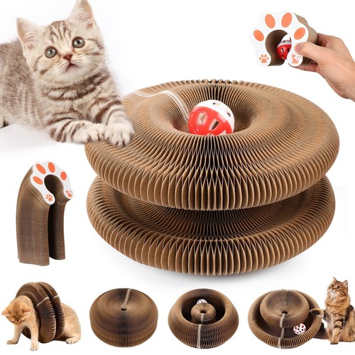 Cat accordion magic organ - organ,