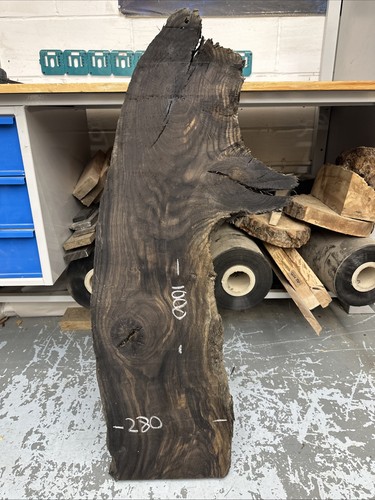 Bog oak 1000 280 40mm - bog, 1000-280-40mm