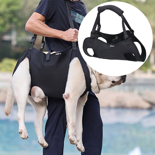 Senior dog carry - carry, for
