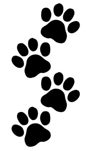Paw print stencil - -, reusable