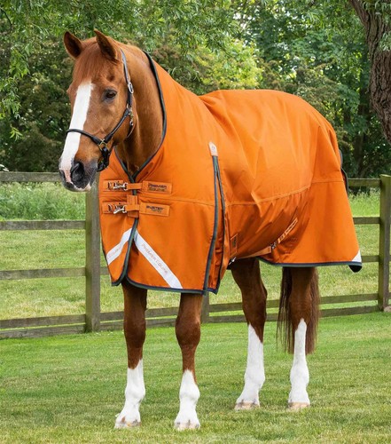 Premier equine buster - equine, hardy