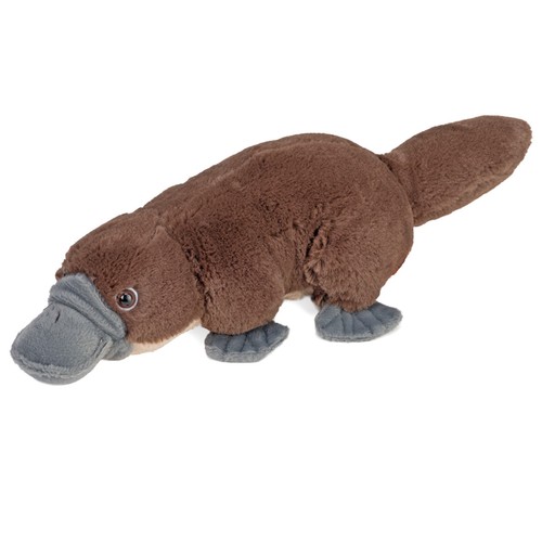 Mini duck billed - duck, platypus