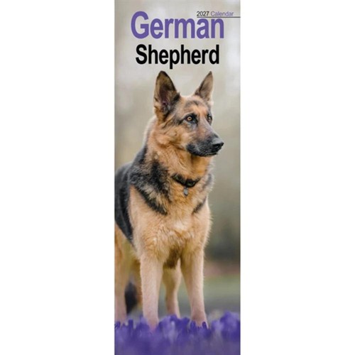 German shepherd 2027 - german,