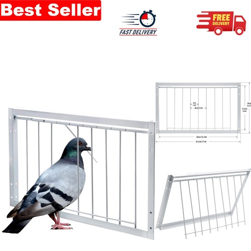 One way iron pigeon trap - one-way,