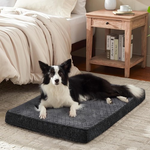 Orthopedic dog beds large - orthopedic,