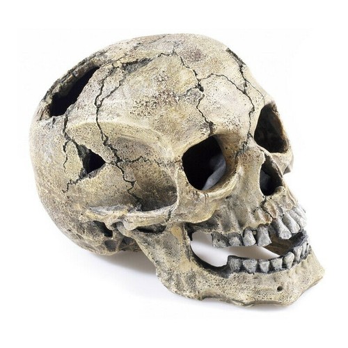 Classic aquatics ornament - classic,