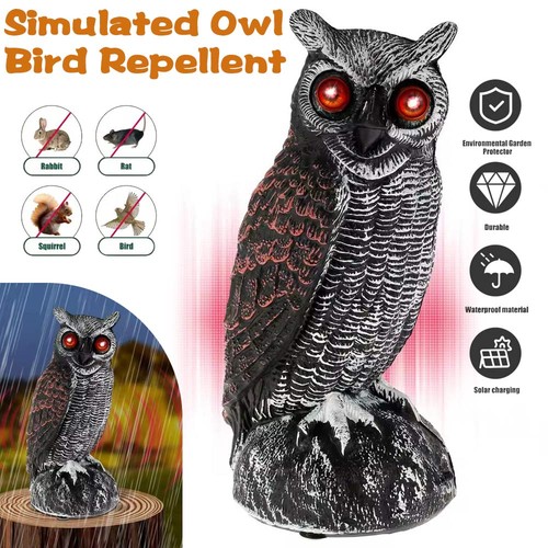 Solar owl decoy deterrent bird - decoy,