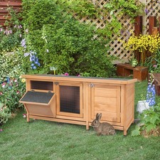 Spacious Bunny Rabbit Hutch