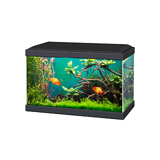 Ciano aqua classic - aqua, aquarium