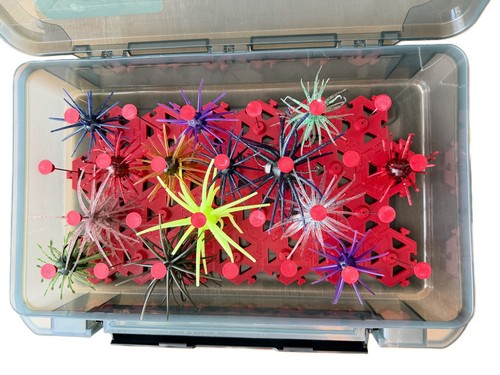 Urchin coike style fishing - urchin,