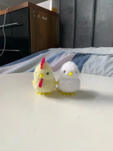 White and yellow chicken - , wind