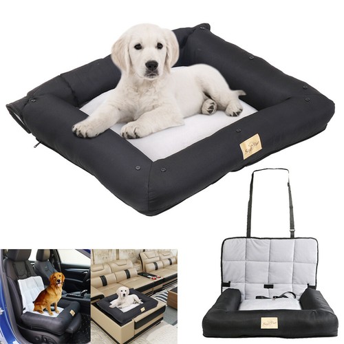Travel dog puppy car - dog,