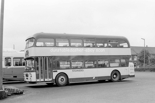 Bus negative stoniers - bus, negative: