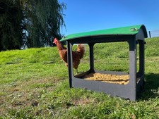 Chicken Dustbath and Shelter - Recycled Plastic - Small. Maintenance Free