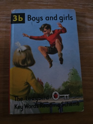 Vintage ladybird book boys - ladybird, 3b