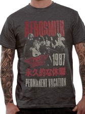 Official Aerosmith T Shirt Permanent Vacation Japanese 1987 Grey New