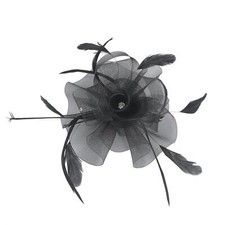 Wedding Races Party Prom