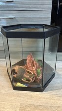 Glass Hexagon Compact Aquarium Fish Tank 