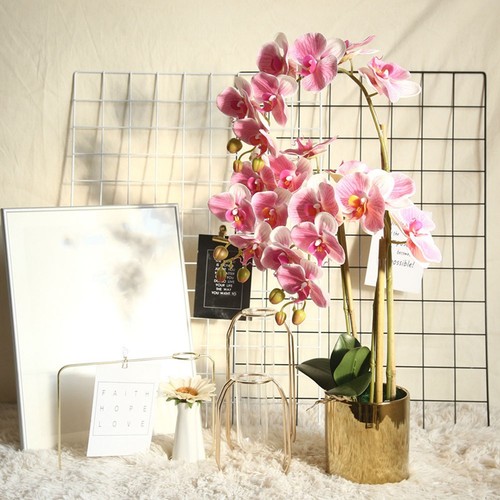 Phalaenopsis artificial orchid - artificial,